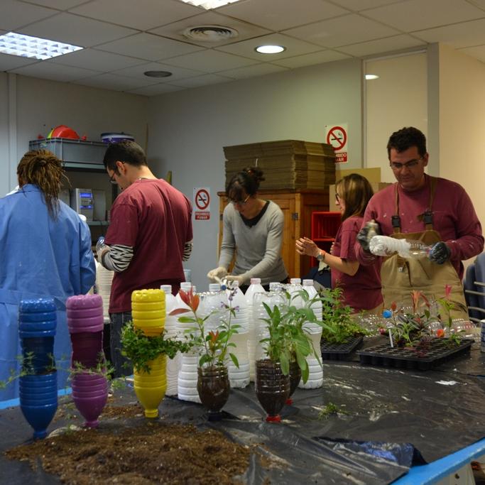 Girona Centre participarà en Temps de Flors amb un projecte dissenyat per la Fundació Drissa