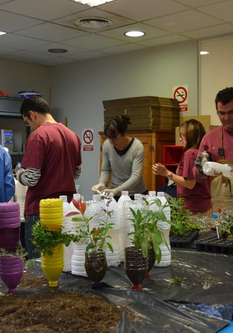 Girona Centre participarà en Temps de Flors amb un projecte dissenyat per la Fundació Drissa